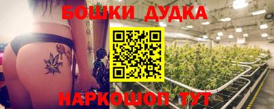стафф Краснознаменск