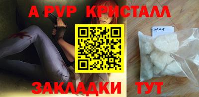 стафф Краснознаменск