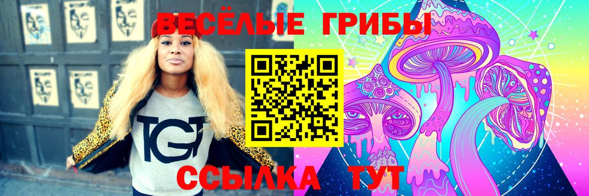 Галлюциногенные грибы GOLDEN TEACHER Грязи